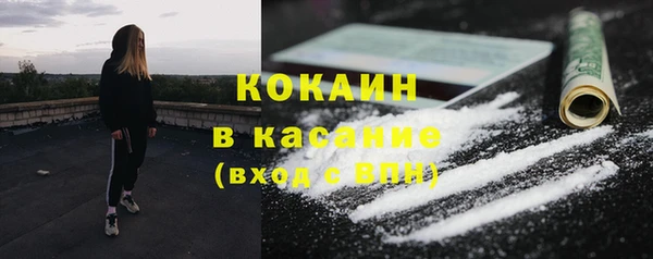 шишки Алексин
