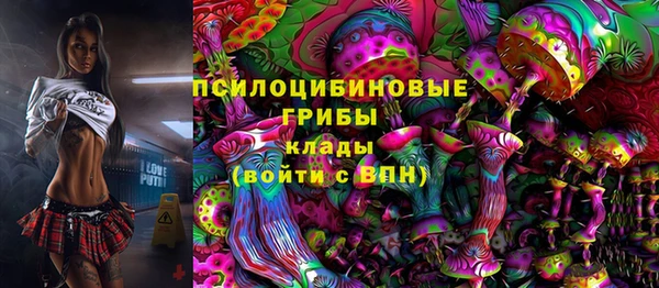 шишки Алексин