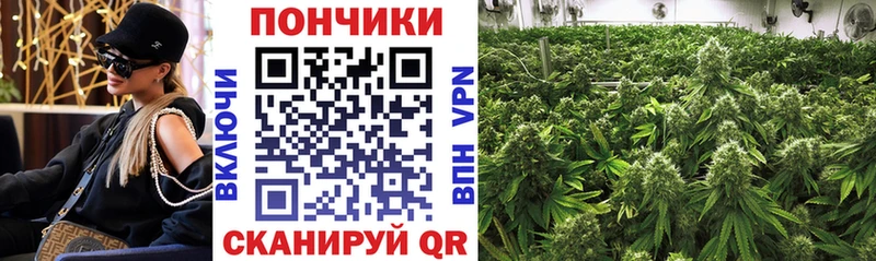 мега ONION  Тюкалинск  Каннабис марихуана  даркнет сайт 